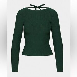 New Aritzia Babaton Sculpt Knit Scouted Longsleeve Tight open-back knit top
